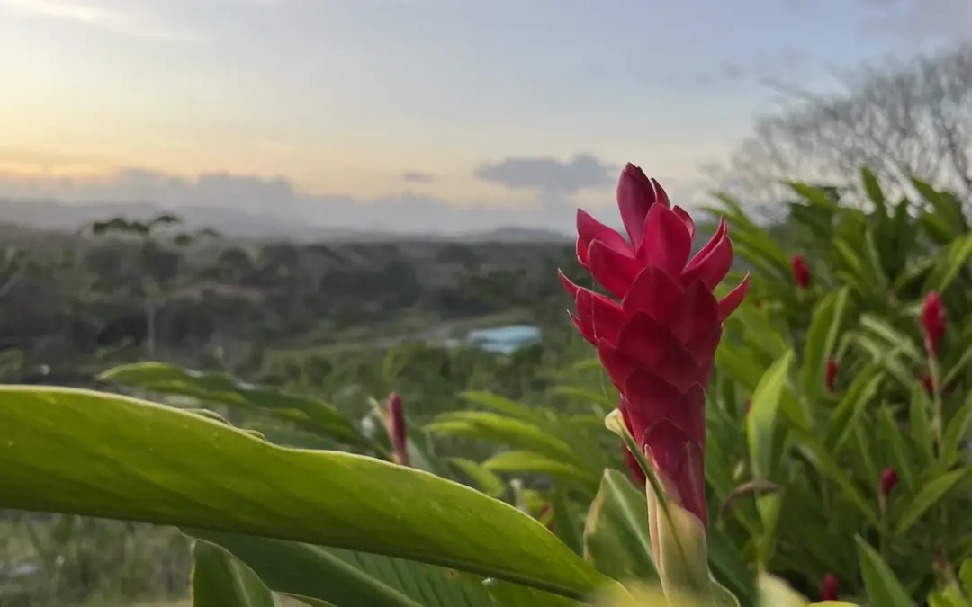 Von Panama City nach Paraíso