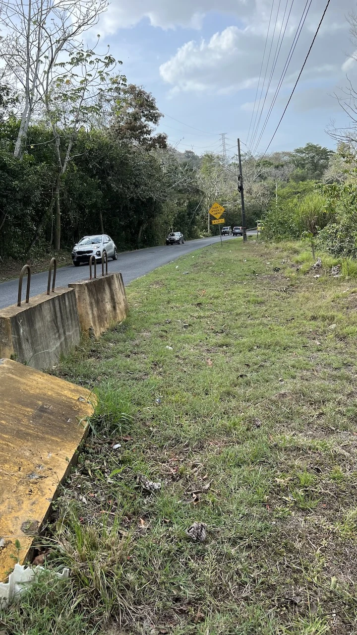 Landstraße nochmal, mit Betonabsperrteilen am Straßenrand