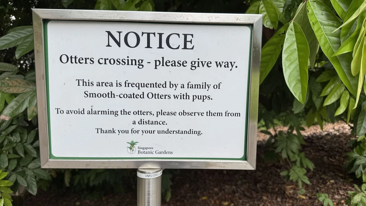 Schild mit dem Hinweis "Otters crossing"