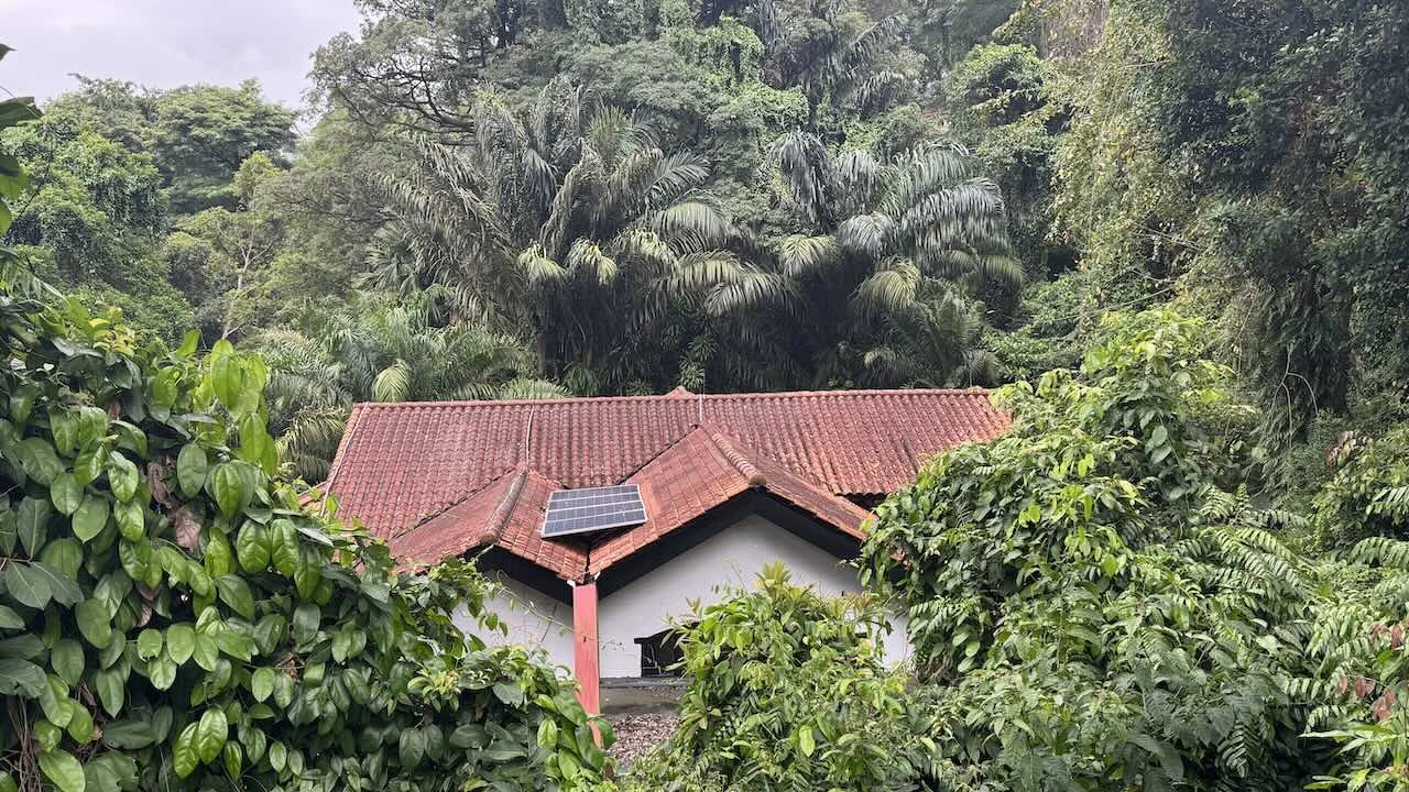 Ein Haus mitten im Regenwald, auf dem Dach vier merkwürdig verlegte Solarpanele