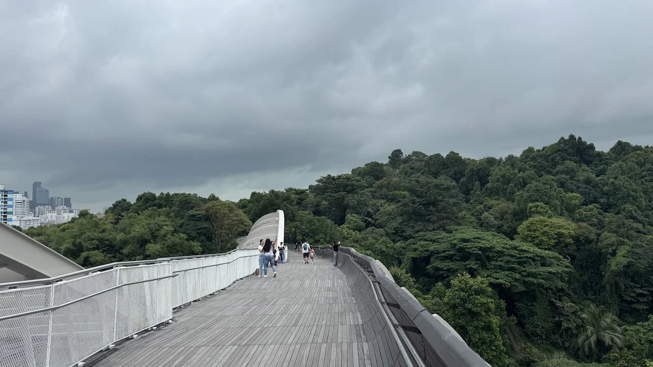 Blick entlang der Henderson Wave Bridge, die Lauffläche ist aus Holz und sie ist sehr breit, alles in hell gehalten