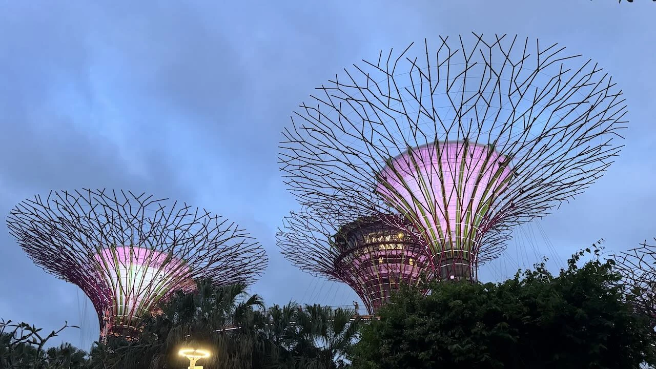 Supertrees in der Abenddämmerung, sie sind erleuchtet