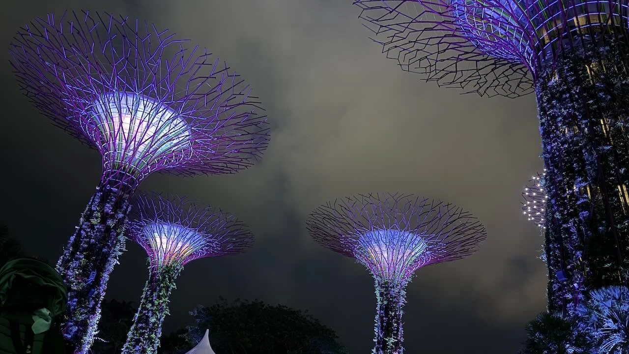 Während der Light Show, hier in Violett erleuchtet