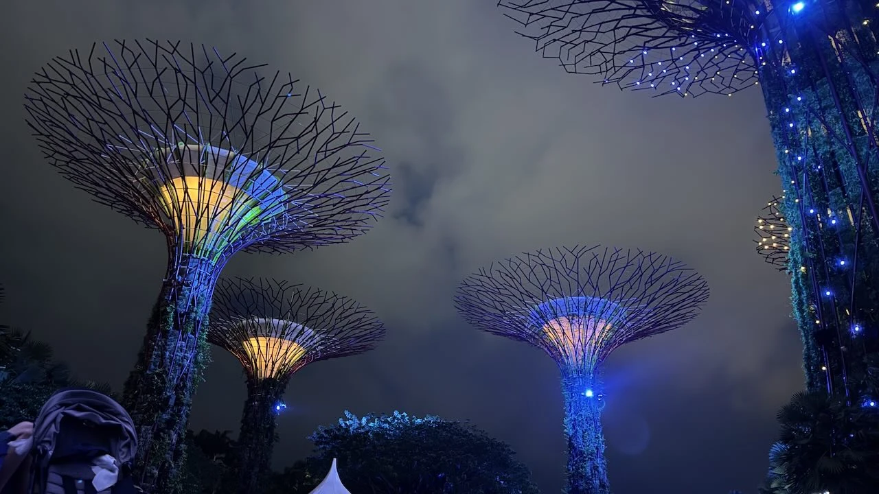 Supertrees in gelb blau