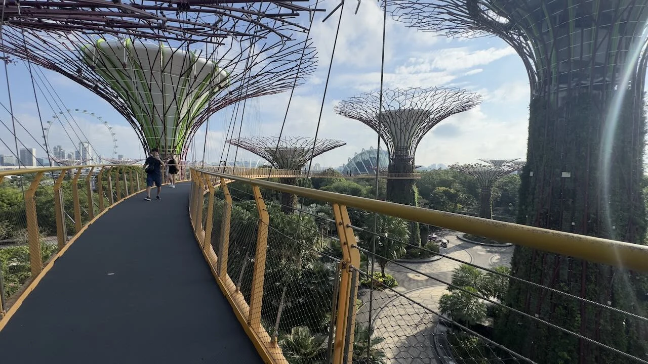 Auf dem Skywalk zwischen zwei Supertrees. Rechts und links sind orangene Geländer, im Hintergrund andere Supertrees