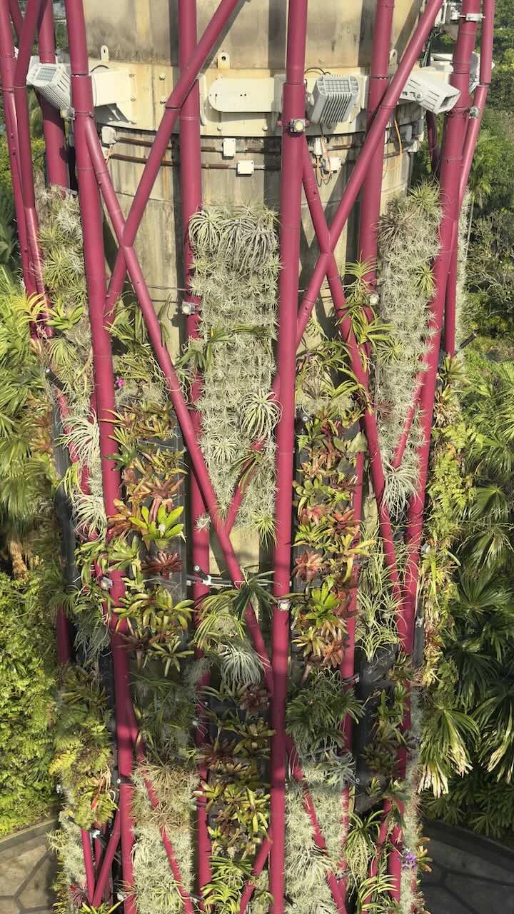 Stiel eines Supertrees, innen Betonwerk, außen rotes Gestänge, die Gestängezwischenräume sind allesamt bewachsen