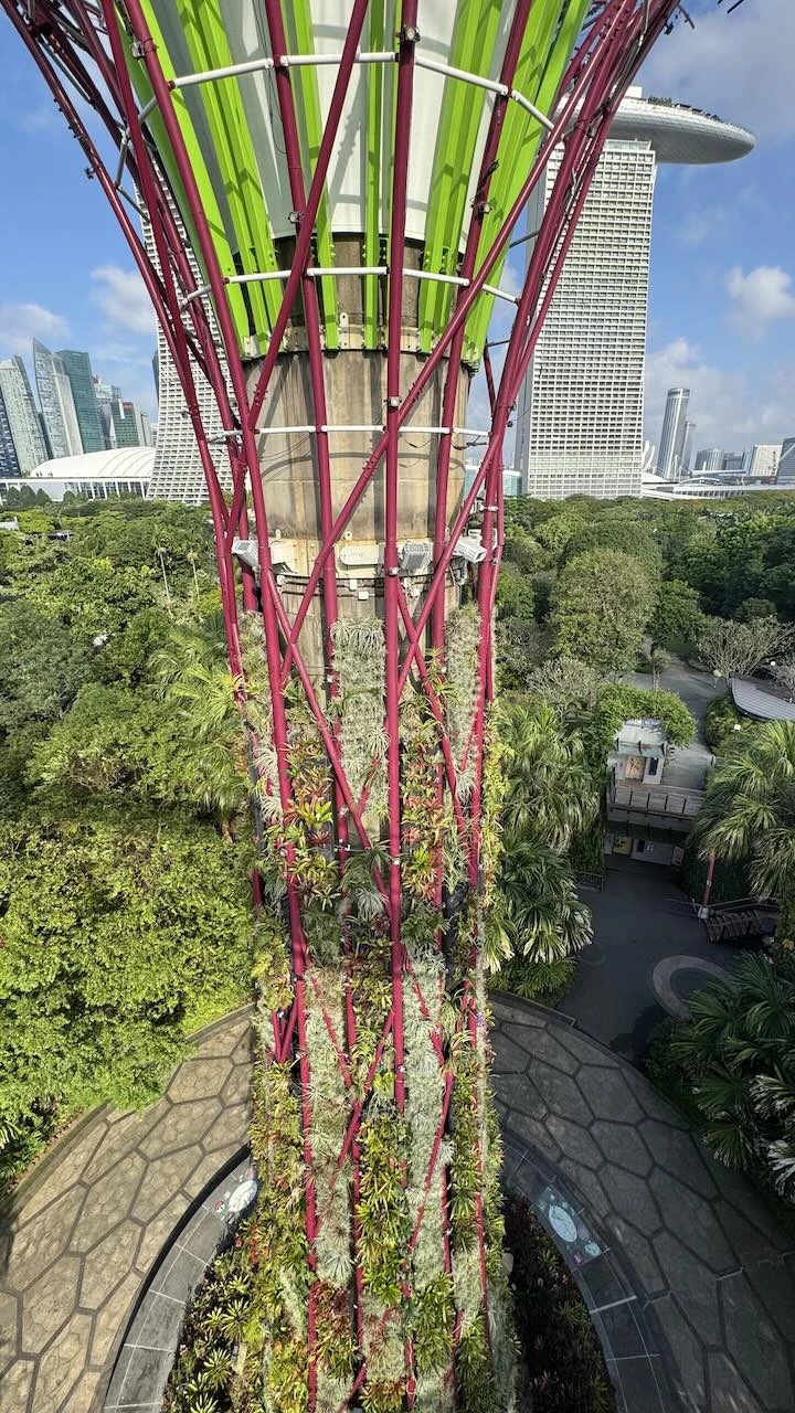 Supertree fast komplett, Betonstiel, darum rotes Gestänge, alles mit Pflanzen besetzt