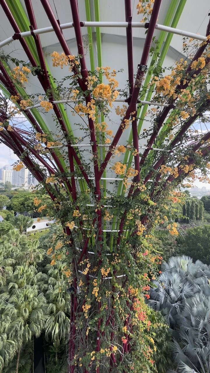 Ein Supertree mit orange blühenden Pflanzen