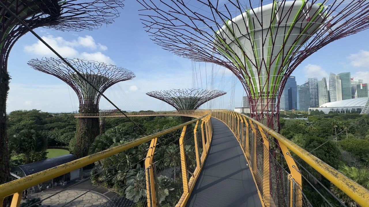 Der Skywalk, kein Mensch. Vielleicht 1,20 Meter breit mit Geländer rechts und links. Drei vollständige und ein teilweiser Supertree sind zu sehen.