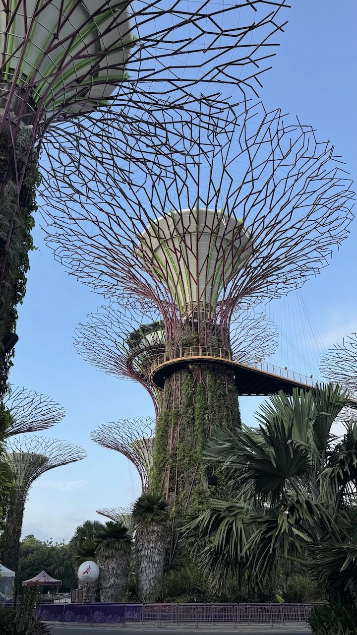 Supertree von unten nach oben fotografiert