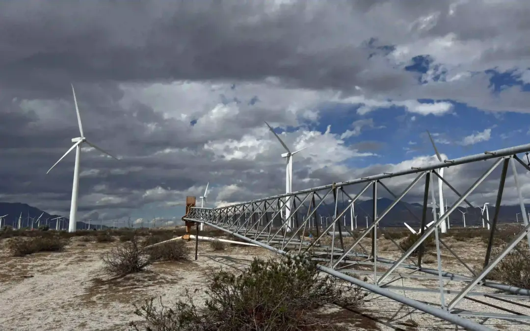 Palm Springs, CA und ein Besuch im Windmill Park